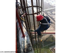 烟囱爬梯护网防腐