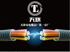 ZR-KFVR22耐油软心线缆/报价低