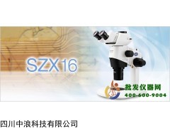 SZX10体视显微镜SZX10-3141