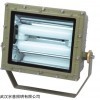 HRT83-80防爆節(jié)能泛光無燈