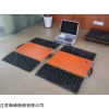 路政电子轴重仪