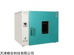 數(shù)碼儀表臺式干燥箱(DHG-9203A)