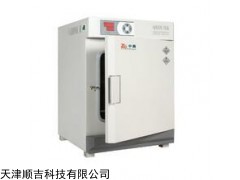 數(shù)碼儀表立式干燥箱(DHG-9030A)