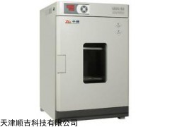 數(shù)碼儀表立式干燥箱(DHG-9070A)