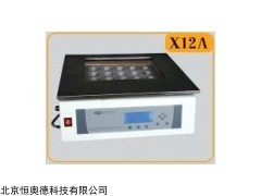 CH-X12A  铝模块自动消化装置  