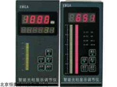 JH-SSR-XMGA-9000 光柱显示调节仪  