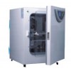 專業(yè)CO2培養(yǎng)箱BPN-80CRH