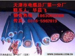 供应- DJYPV  带铠装计算机电缆