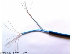 供应- DJYPV63计算机电缆ZR-DJYVPR 96