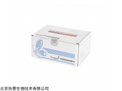 N末端B型鈉尿肽前體 (NT-proBNP)