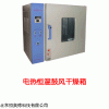 电热恒温鼓风干燥箱  