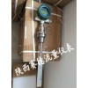 靶式煤氣流量計(jì)