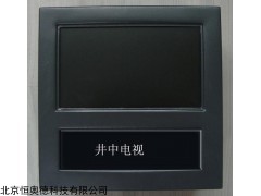 井中电视摄录仪  型号：WH-LHDS-J1