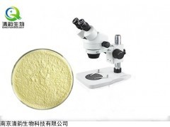 24211-30-1杜鹃素南京清韵生物