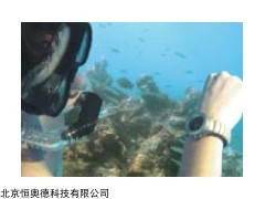 BE-PM1208 腕式个人剂量计  