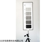 H11-QT203M  林格曼烟气浓度图  