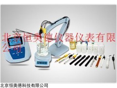 SX1-MP523-05 氯离子浓度计/  