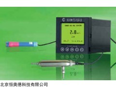 BH-HGY2008 在线溶氧仪  