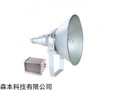 NTC9210防震型投光灯