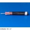 DJYPV计算机电缆规格