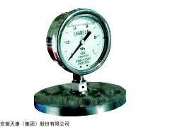 安徽天康YMN系列隔膜式耐振压力表供应商