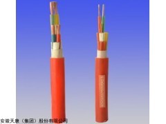 硅橡膠電纜價格,硅橡膠電纜廠家，硅橡膠電纜YGCR