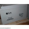 浙江圣陽蓄電池SP12-100 12V100AH 原裝