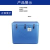 RS-BWX-53G 山东提供冷链运输医疗器械运输GPRS温湿度变送器