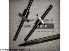 SFK0601 TBI滚珠丝杆SFK0601