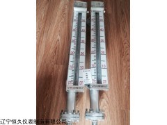 耐高温LED电子双色液位计 智能磁电双色液位计
