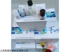 小鼠白细胞介素1β(IL-1β)ELISA 试剂盒