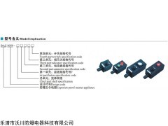 防爆防腐主令控制箱     防爆儀器儀表