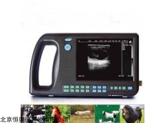 VD-3000V  动物B超   