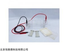 LY-DYCP-31CN 琼脂糖水平电泳仪   