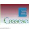 CASSESE钉枪