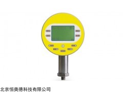 SYJ-10 数字压力表   