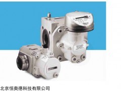 RVG-G400 气体腰轮流量计   