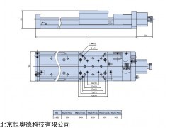 WN250TA(50-300)L 普通型电动平移台   