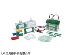 Mini-PROTEAN Tetra 小型垂直电泳槽   