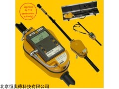 6150AD-T 长杆辐射监测仪   