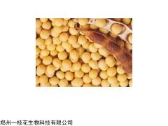 供应 大豆苷元 柳穿鱼黄素 短葶山麦冬皂苷C