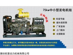 欧意动力75kw柴油发电机组抗洪救灾消防救急养殖场用