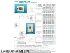 电热恒温鼓风干燥箱    型号：DHG-9240A