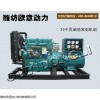 欧意动力30kw柴油发电机组养殖场用防震救灾用农业农场用