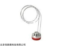 温度压力检测仪   型号：HEBI10