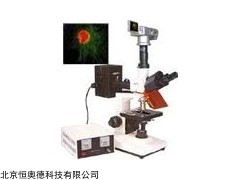 正置荧光显微镜    型号：HAD-DFM-30D