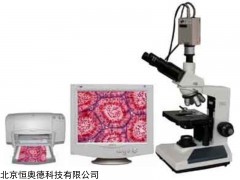 生物显微镜/三目生物显微镜 型号：HAD-XSP-8CE