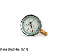 廠家銷售YN系列耐震壓力表