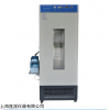 HWS-250B​数显恒温恒湿培养箱