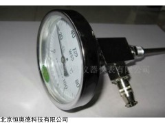 远程温度计   型号：HAD-WTYY-1030